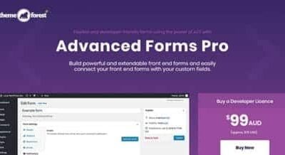Advanced Forms Pro for ACF 900x457 1 430x218 1