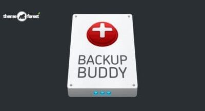 BackupBuddy 8.8.0 900x457 1 430x218 1