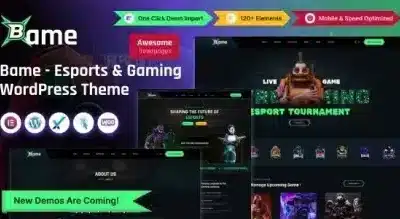 Bame eSports and Gaming WordPress Theme Nulled 430x219 1