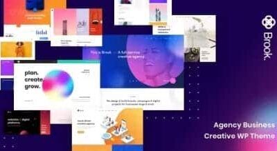 Brook Theme Agency Business Creative WordPress Theme 430x219 1