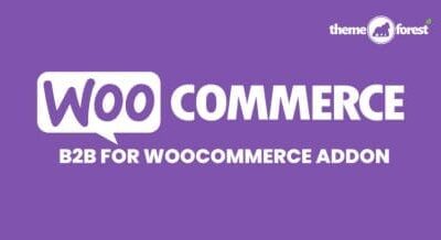 b2b for woocommerce addon 900x457 1 430x218 1