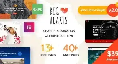 bighearts charity donation wordpress theme nulled 430x219 1