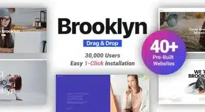 brooklyn featured image. large preview33 430x219 1